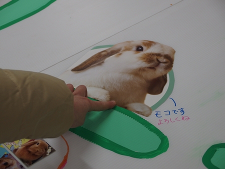 みんなのわ