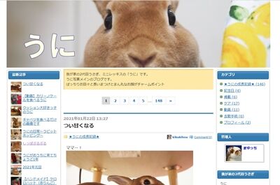 スクリーンショット 2021-01-22 134323