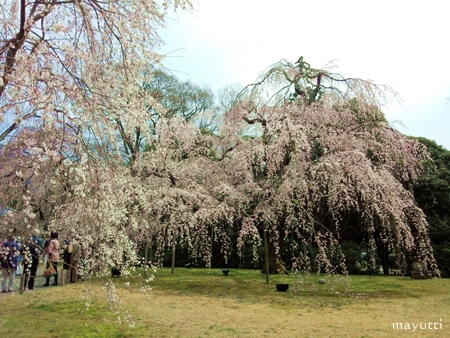 醍醐寺２１