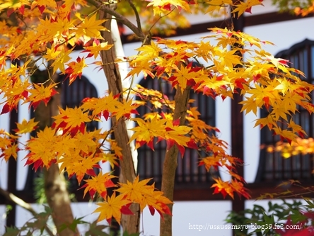 南禅寺・永観堂