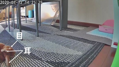 1594544604153-20200712