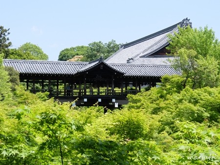 東福寺１