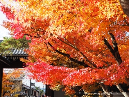 南禅寺・永観堂