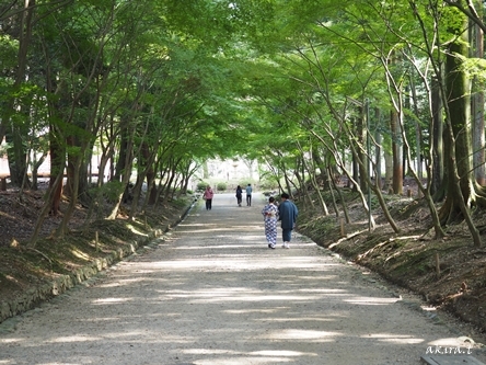 醍醐寺