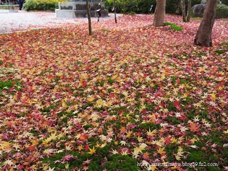 南禅寺・永観堂