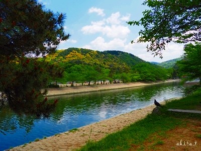 宇治川1