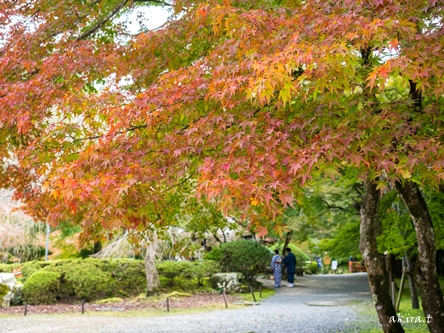 醍醐寺