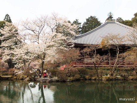 醍醐寺９