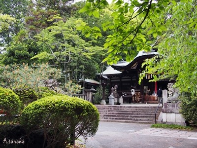 岡崎神社