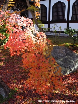 南禅寺・永観堂