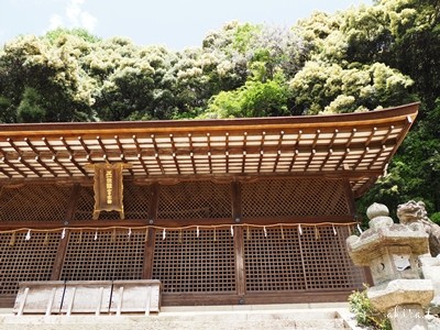 宇治上神社4