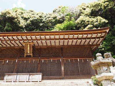 宇治上神社４