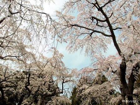 醍醐寺１４