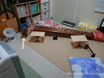 DSC_1112-20200628