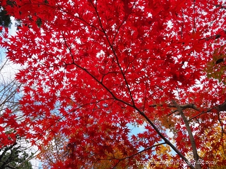 南禅寺・永観堂