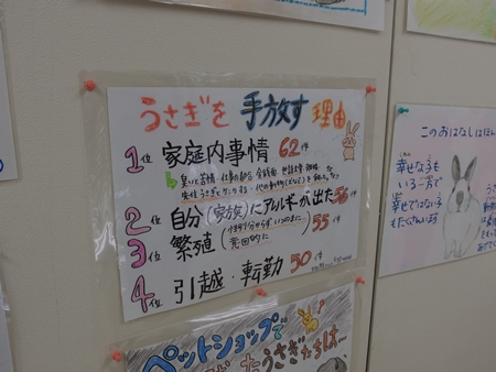 パネル