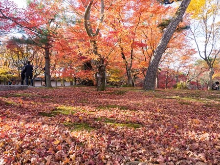 東福寺