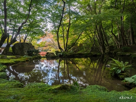 醍醐寺