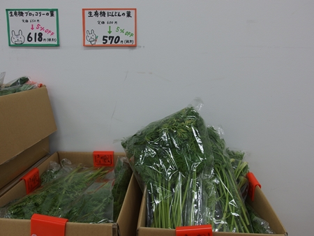 P1170157.jpg