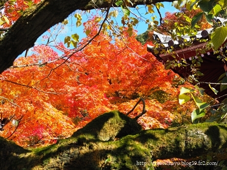 南禅寺・永観堂