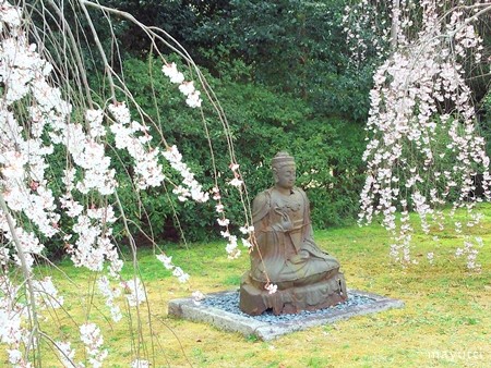 醍醐寺18
