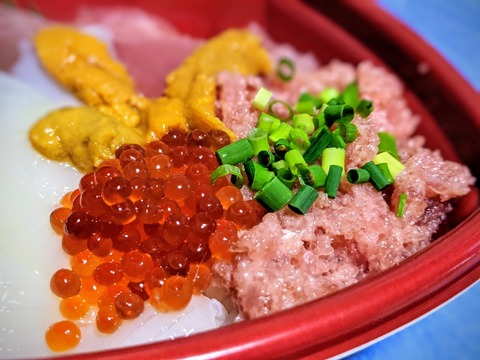 00100lrPORTRAIT_00100_BURST20200605183208715_COVER~2