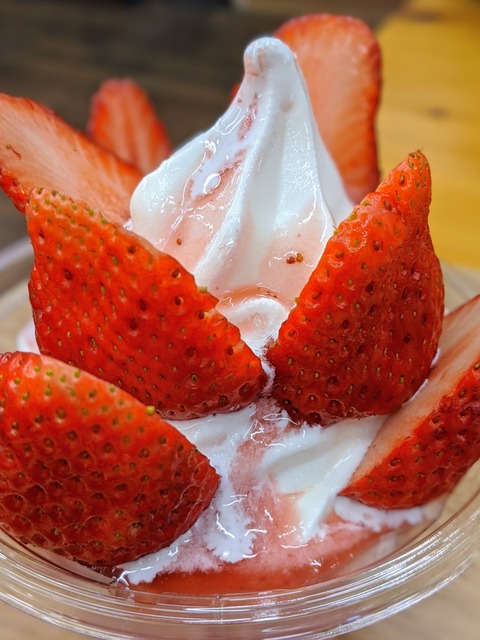 00100lrPORTRAIT_00100_BURST20200314143753025_COVER~2