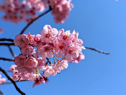 00100lrPORTRAIT_00100_BURST20200325101950822_COVER