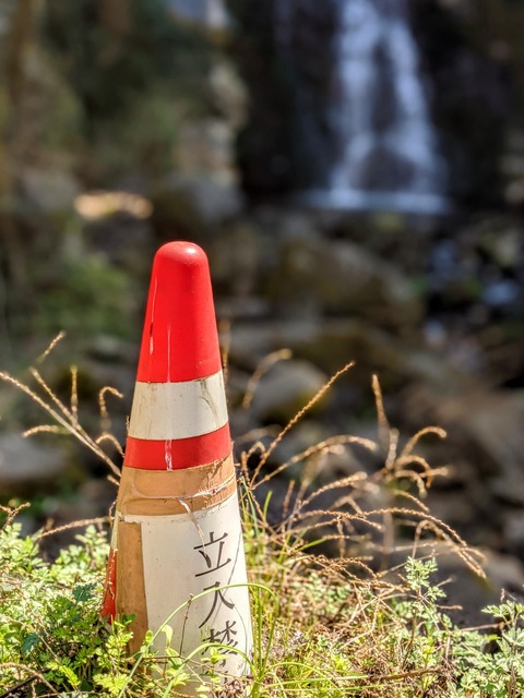 00100trPORTRAIT_00100_BURST20200325125958392_COVER