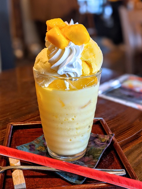 00100trPORTRAIT_00100_BURST20200823143133843_COVER