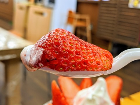 00000PORTRAIT_00000_BURST20200314143852224