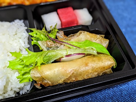 00100lrPORTRAIT_00100_BURST20200501195905326_COVER