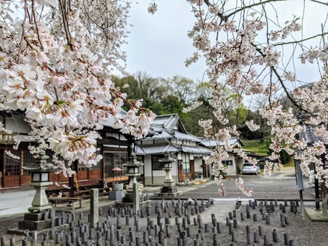 PXL_20210321_052740114_1