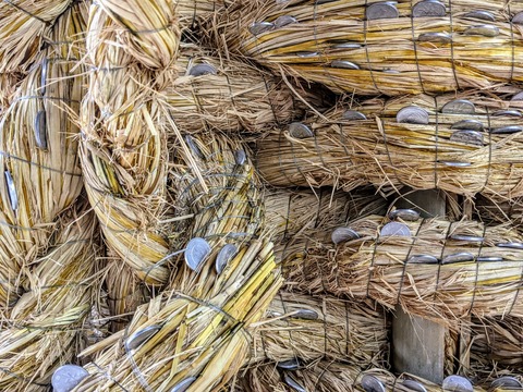 00000IMG_00000_BURST20200712140033119_COVER