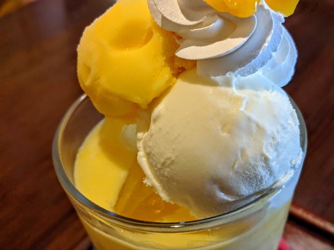 00100lrPORTRAIT_00100_BURST20200823143232318_COVER