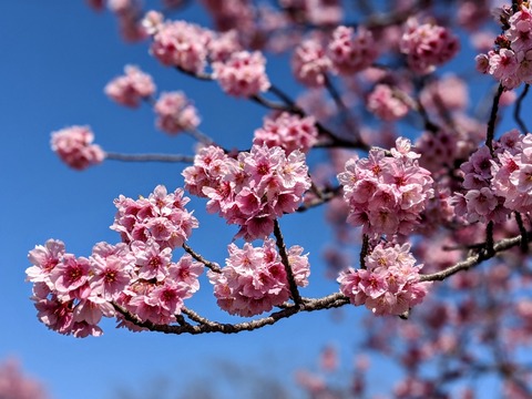 00100trPORTRAIT_00100_BURST20200325102900249_COVER