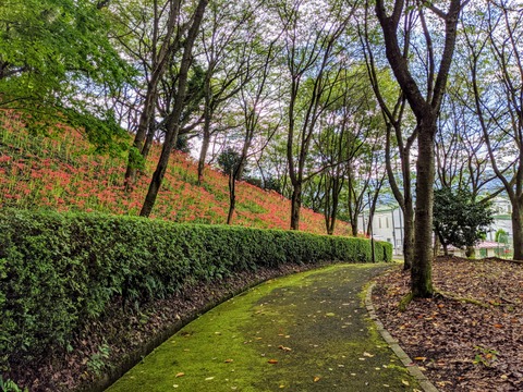 PXL_20200926_060240705_1