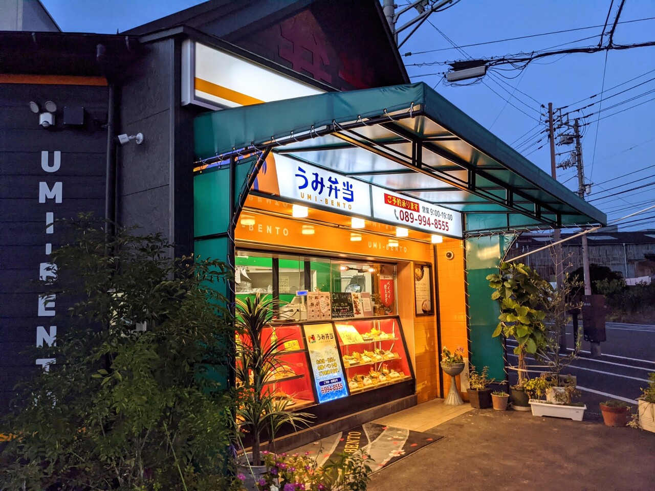 テイクアウト うみ弁当 とり バーグ弁当 松山市 新 愛媛さすらい日記 テイクアウト うみ弁当 とり バーグ弁当 松山市 新 愛媛さすらい日記