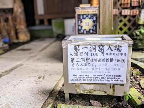 00100trPORTRAIT_00100_BURST20200712140830264_COVER~2