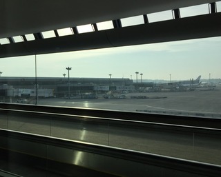 �����֤ǥ��㥫�륿�����ܡ����ѡ����󥬥ݡ������ι�ʣ������ܤε��� / �������ܤ����� / �������ܤΥ��󥬥ݡ����