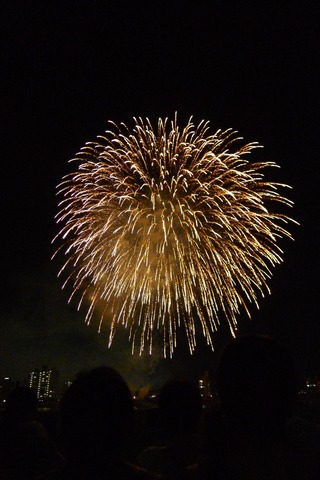 2013 �ߤ䤶��Ǽ�òֲ���� ���ܺꡦ������褤