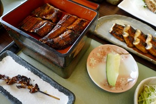 鰻専門店「うなぎの尾方」 @鹿児島