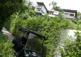 W ��ȥ꡼�� �� ���। �ۥƥ� �����������।��