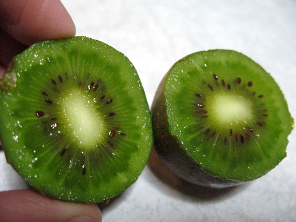 新種の「香粋」(こうすい)「キウイのたまご」を食す!