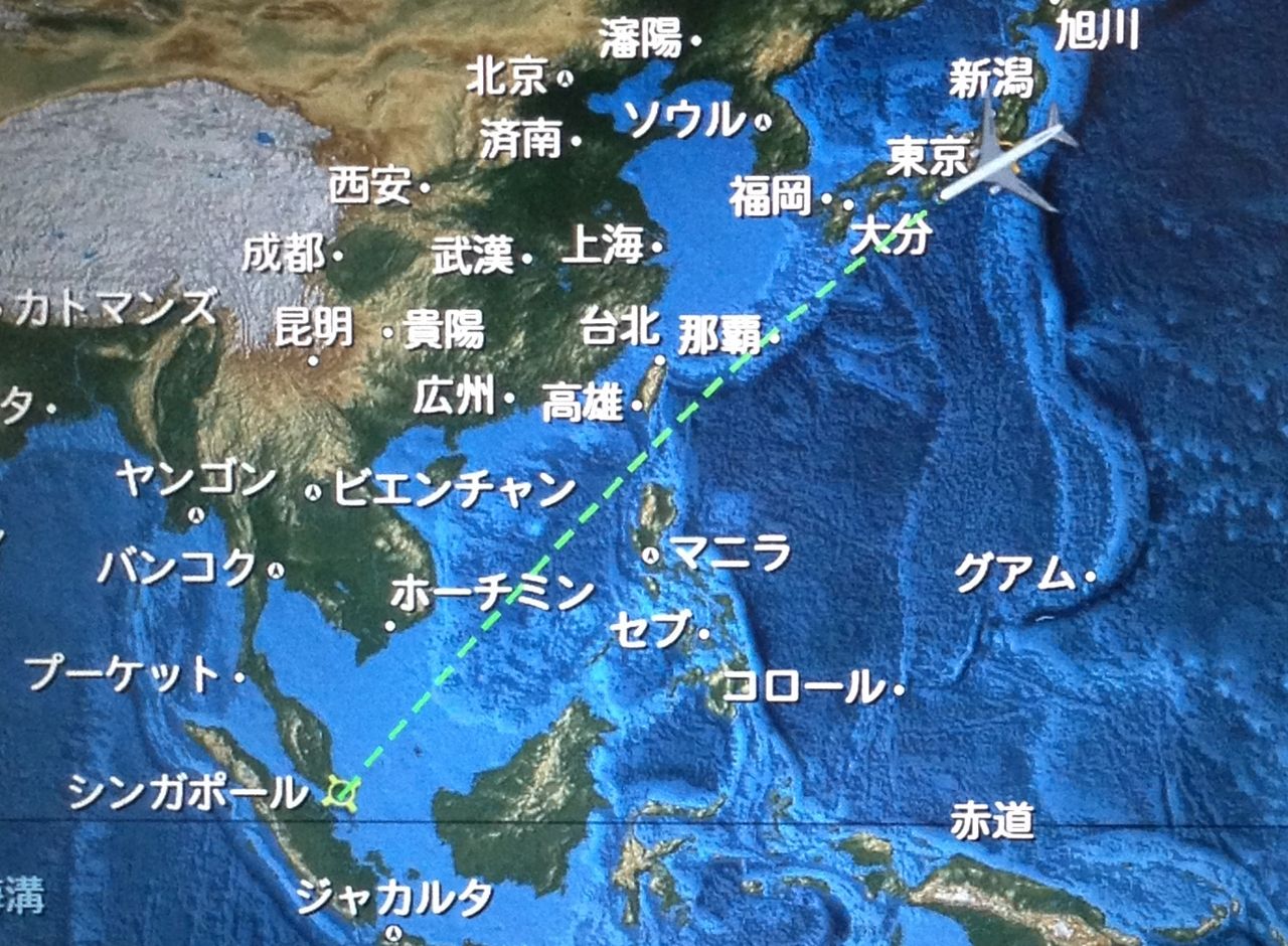２５回目のシンガポール 日本航空 ｊｌ０３５ 便 菊さんの食い倒れ万遊記 うまいもの食べ歩きグルメ日記