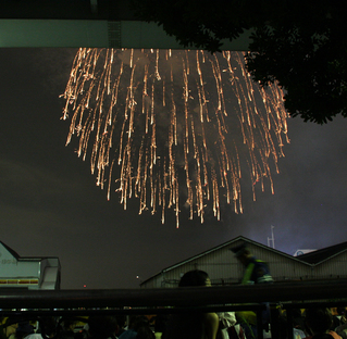 第22回東京湾大華火祭を見る。