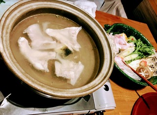 ����ɥͥ����Υ��㥫�륿���饤���ꥢ�Υ��ޥ�ե��ؤ�ι --�֣ʣ̣�����/�ʣ̣�����/���ƣ�����������