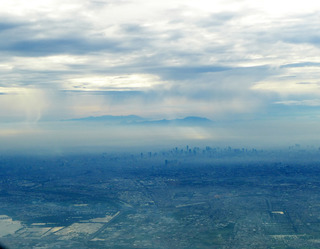 ������Ǥ�売���ܤε��� - �������֣Σȣ���������--ANA BUSINESS CRADLE(787����)�פΥӥ��ͥ����饹