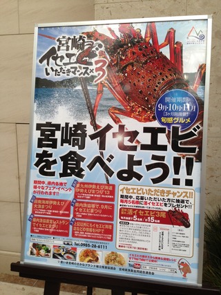 ������ȥ󡦥����ǡ����������꥾���ȡʥե��˥å������������������꥾���ȡ� ���ܺ�