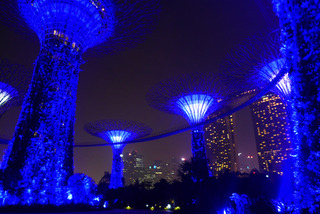 スーパーツリーの最上階のレストラン・バー「SuperTree by IndoChine」 @シンガポール・ガーデンズ・バイ・ザ・ベイ